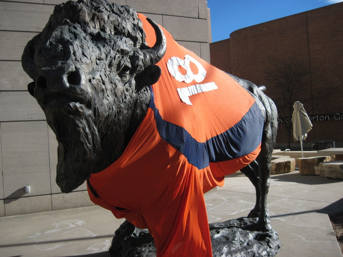 Denver Broncos Style Blue & Orange Winter Beanie